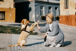 Der Hund - bester Freund des Menschen